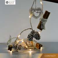 10M 50M 100M LED Fairy String Lights for Christmas Warm White LED String Light