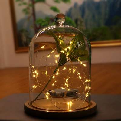 2018 hot sale and newest design mini bulb led string light for christmas